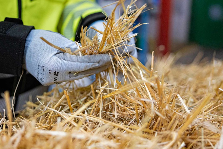 Process knowledge for bio-based feedstocks