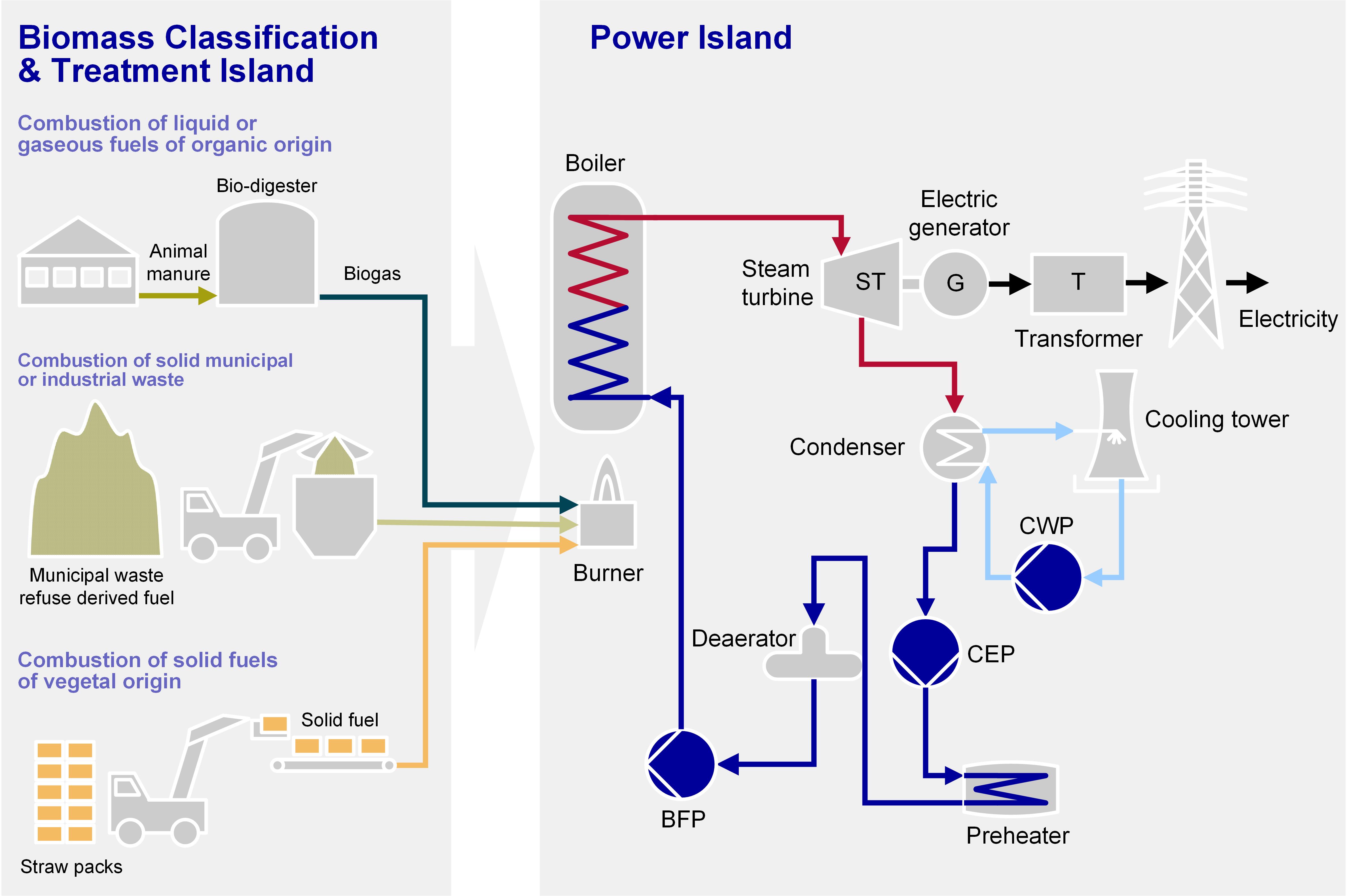 Biomass Power Plant Process Flow Diagram