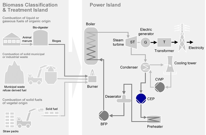 Condensate Extraction Pumps for biomass firing applications